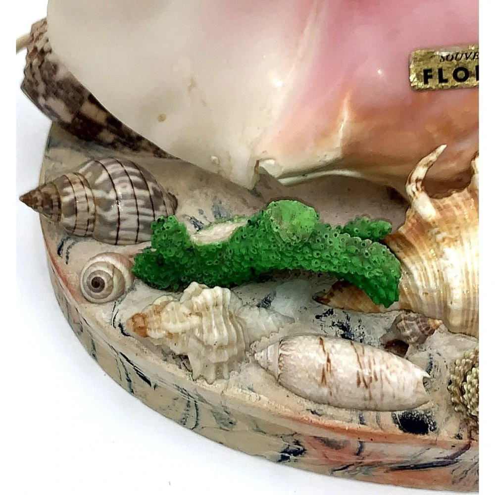 Vtg 50s Pink Conch Seashell Night Table Lamp Light Kitschy Tiki Florida Souvenir